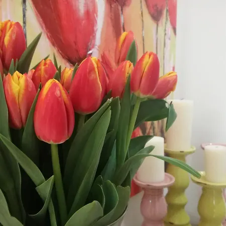 فندق مبيت وإفطار Casa Del Corso تافيانو