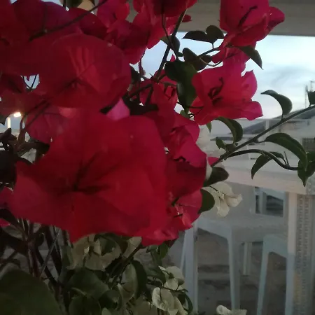Alojamento de Acomodação e Pequeno-almoço Casa Del Corso