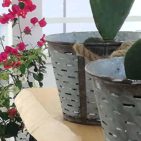 فندق مبيت وإفطار Casa Del Corso